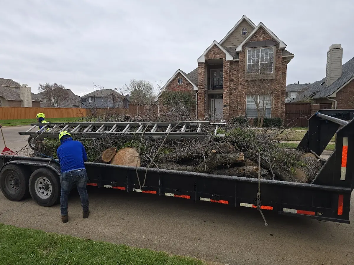 Expert Tree Pest Control with proper safety equipment in Florham Park